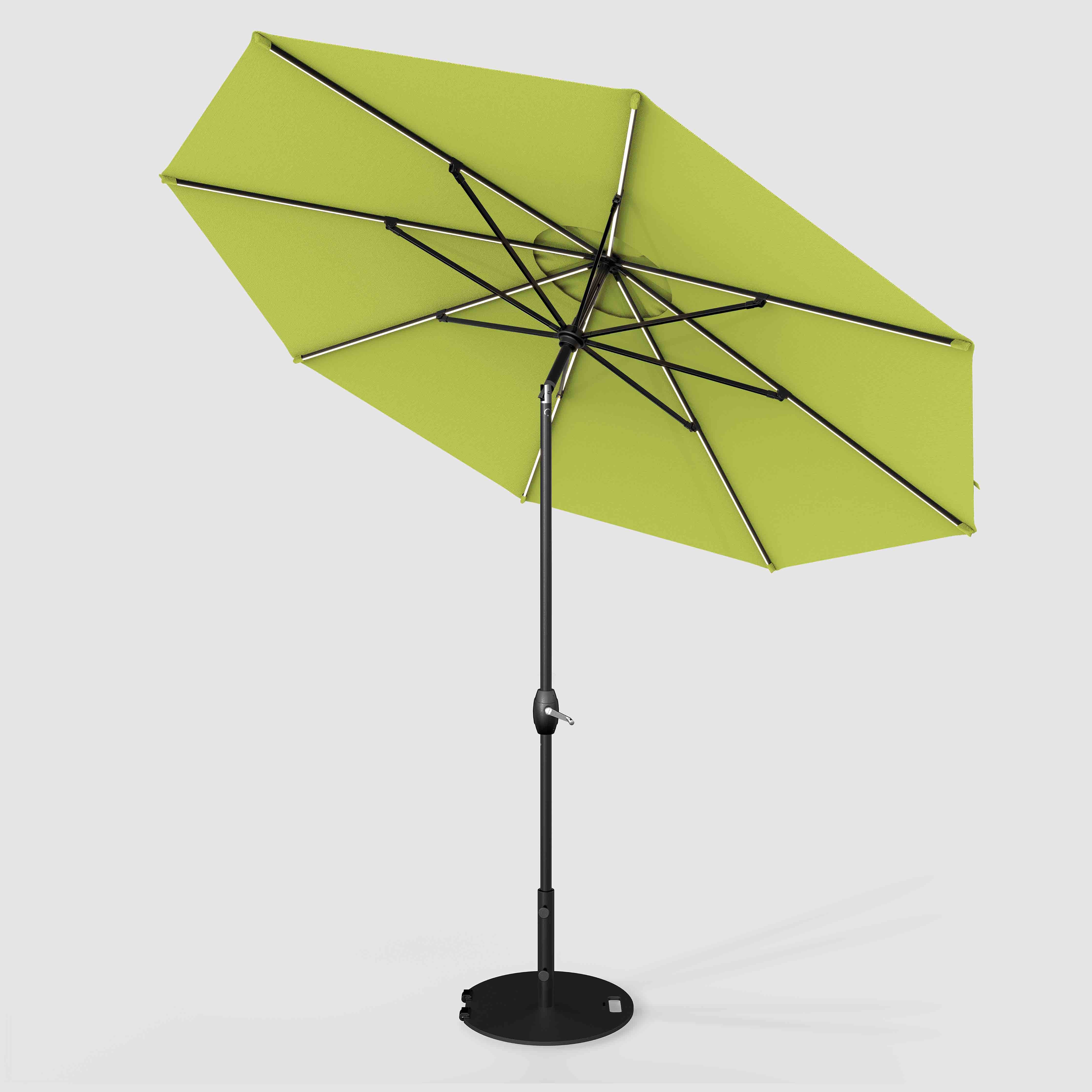 The Glow - Sunbrella Macaw